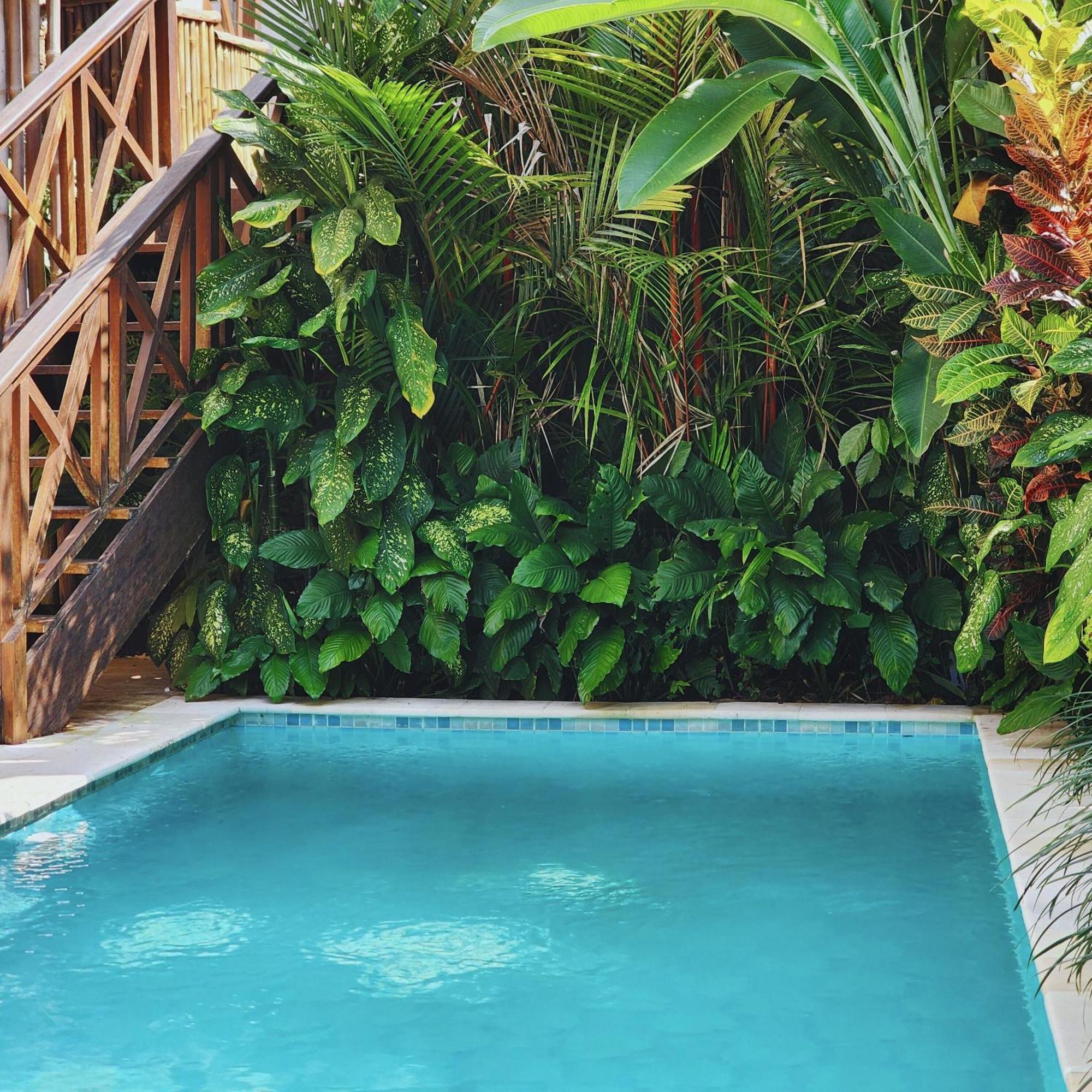 Danaya'S Villa Ubud  Ngoại thất bức ảnh